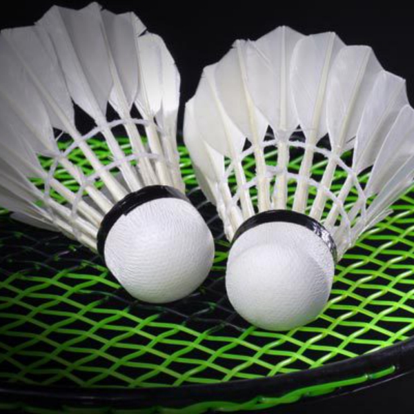 RedLine Badminton Club