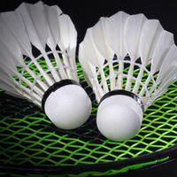 RedLine Badminton Club