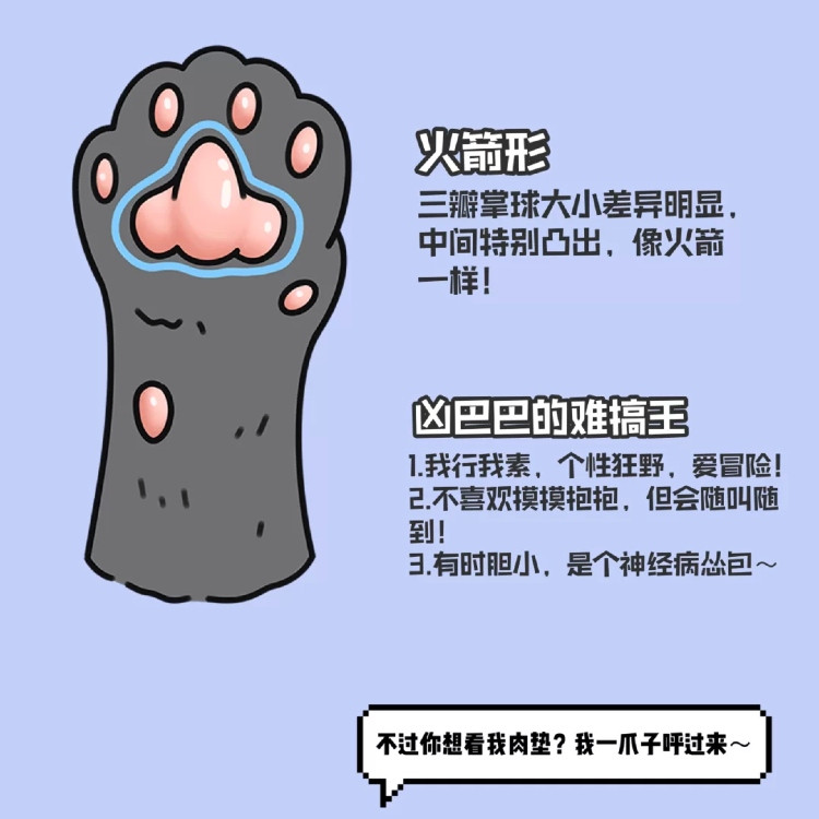下滑至內文看更多