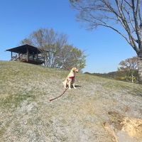大分公民館レッスン　《ピラティス》