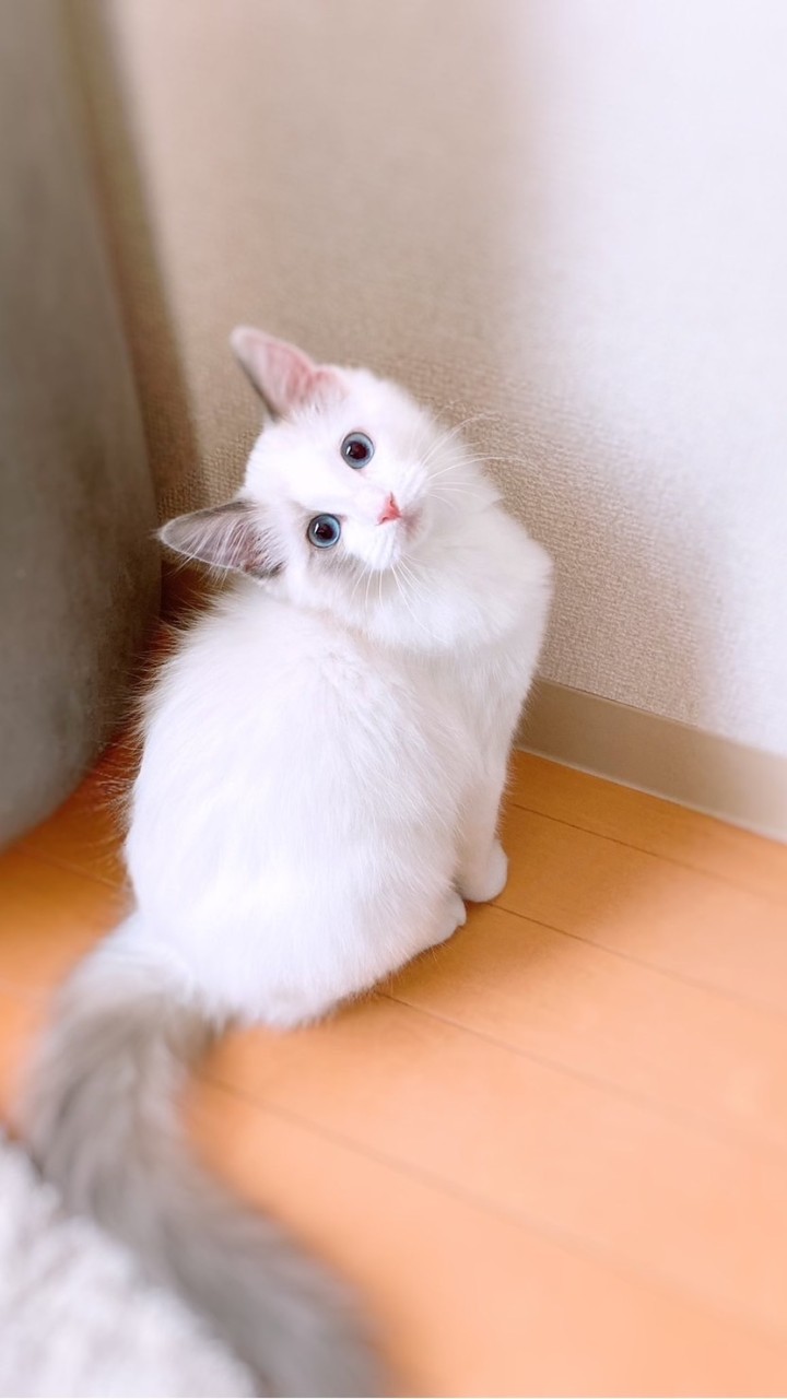 繪圖分享區