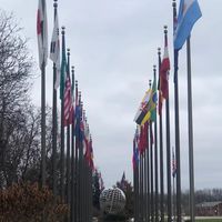 BI逼哀人生🌎