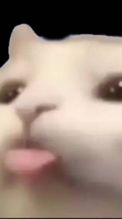 反邱家-邱家黑粉共和國