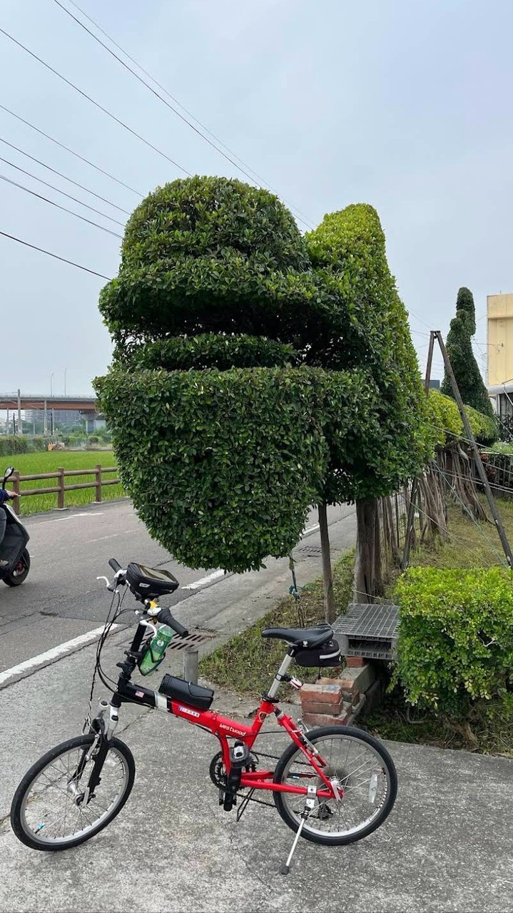 斗南舊社大小事