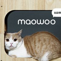 貓咪的大小三兩事🐱