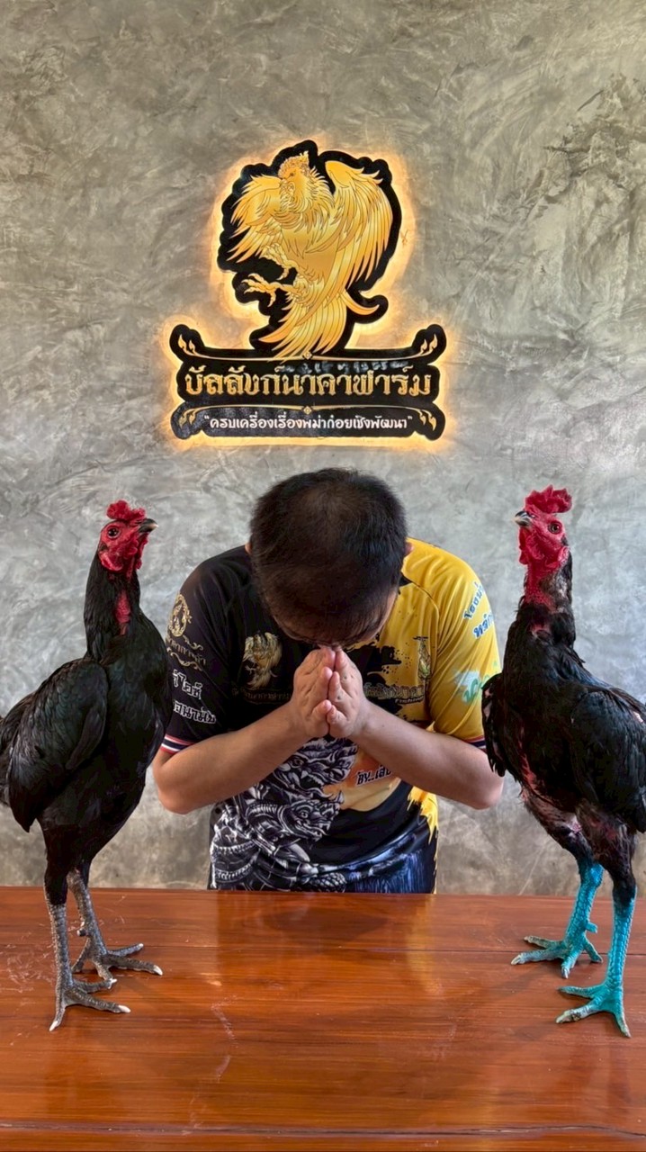 ฝากผสม"บัลลังก์นาคาฟาร์ม"