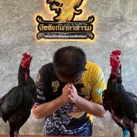 ฝากผสม"บัลลังก์นาคาฟาร์ม"