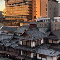愛媛大学2回生2026