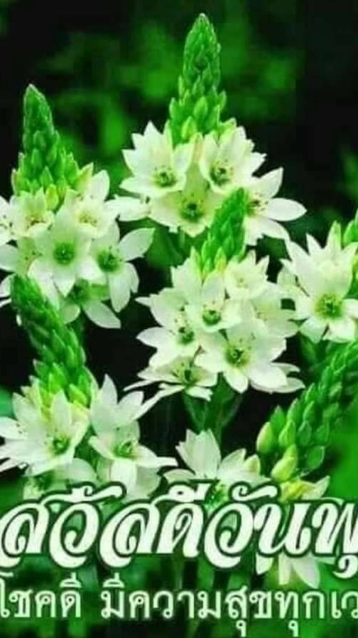 คำทักทายประจำวัน ข้อคิดคำคมข่าวสาระ แนะงานเสริมฟรี