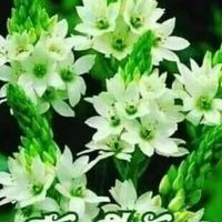 คำทักทายประจำวัน ข้อคิดคำคมข่าวสาระ แนะงานเสริมฟรี
