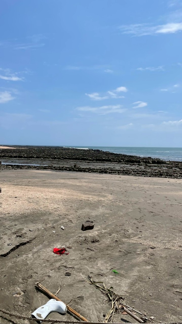 グーニーズワン情報共有