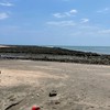 グーニーズワン情報共有