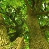 秘伝実践会セミナー告知連絡用