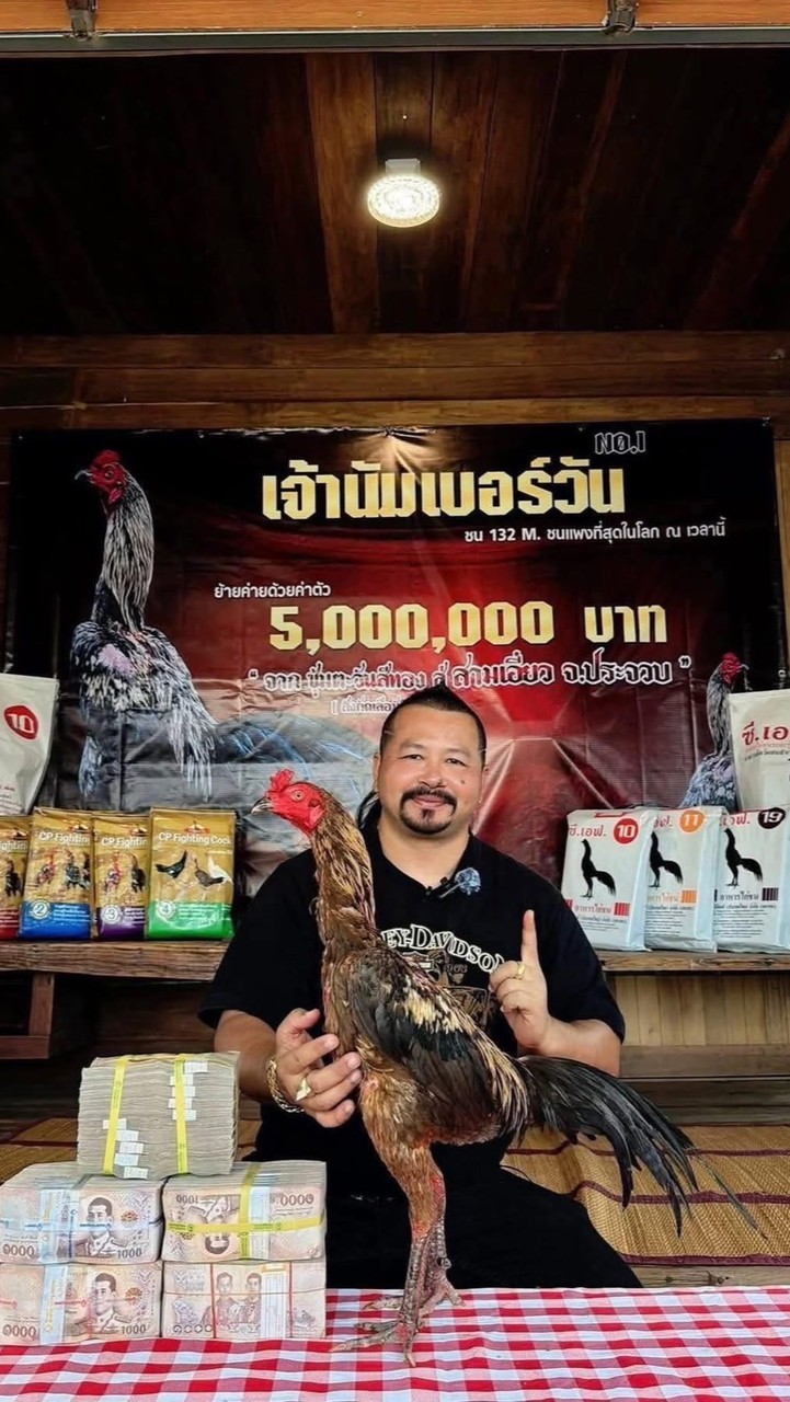 สามเอี่ยว ดราก้อนไวท์ ป่าก๋อยพัฒนา🎲🥁