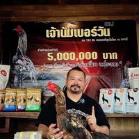 สามเอี่ยว ดราก้อนไวท์ ป่าก๋อยพัฒนา🎲🥁