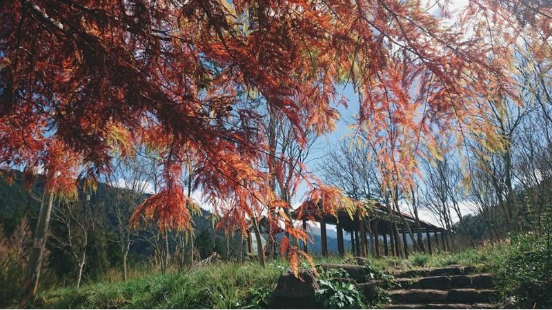 來一場不一樣的家庭小旅行！5樣露營必備法寶 讓你冬天暖呼呼～