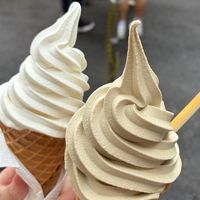115輔大食科新生群