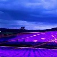 楽しく雑談