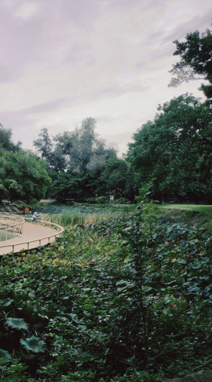 2025.12.20錦衣華服-豪門世家外拍