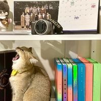 mayday_24thx