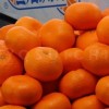 静岡、みかん好き集まれ🍊みかん農家のみかん安く提供します😊