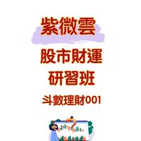 2024紫微雲股市財運氣數班001