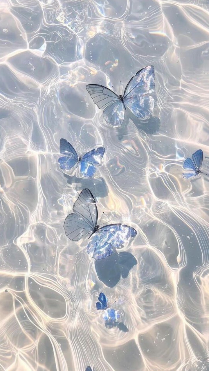 動漫商品代購集單🦋