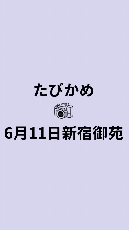 6/11たびかめ📷新宿御苑