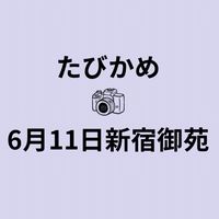 6/11たびかめ📷新宿御苑