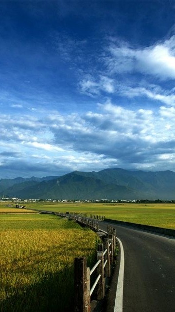 軟協-文化運動數位促進會會員社群