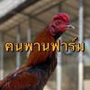 ฅนพานฟาร์ม@เชียงราย
