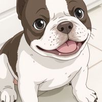 狗狗皮膚問題討論中心