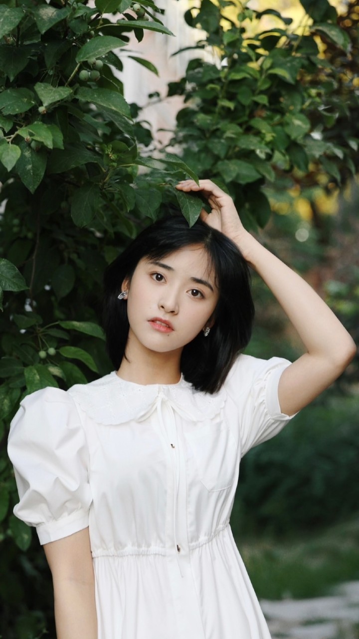 沈月粉絲群