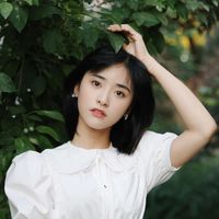 沈月粉絲群