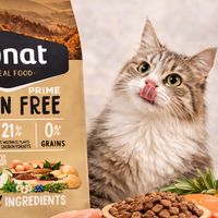 💕萌寵選品｜寵物用品·玩具·零食飼料