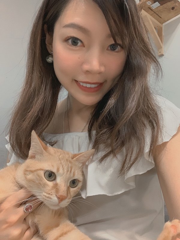 「寵物飼料」紐樂芙nulo freestyle 火雞肉口味貓咪飼料開箱分享