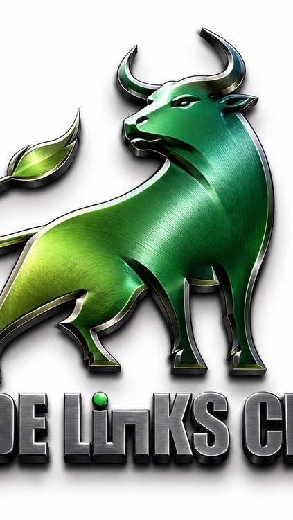 myfxbook公開〈8万→300万超〉 FX | コピトレ　親ビンのタコ部屋🐸