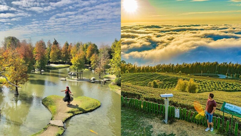 2022雲林9大景點懶人包！360度飽覽雲海宛如仙境，秋天快衝「愛心湖」賞落羽松