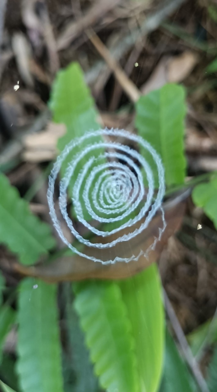 認真爬~山是一直在，沒爬怎知山可愛