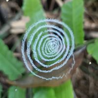 認真爬~山是一直在，沒爬怎知山可愛