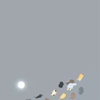 我們要和平相處🫶🏻