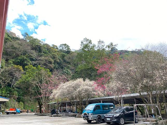 （圖片來源：合歡仙境民宿露營區）