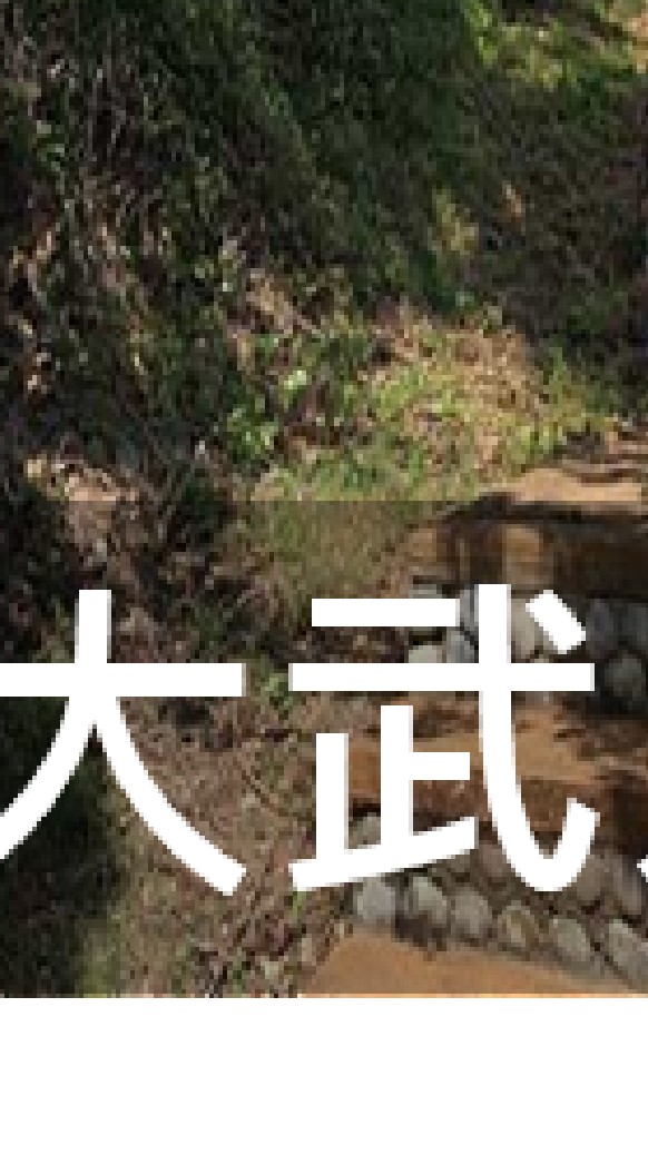 我是大武人