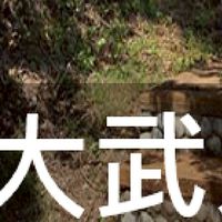 我是大武人