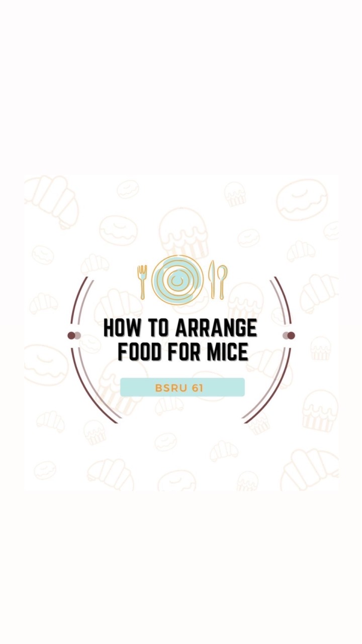 𝙃𝙤𝙬 𝙩𝙤 𝙖𝙧𝙧𝙖𝙣𝙜𝙚 𝙛𝙤𝙤𝙙 𝙛𝙤𝙧 𝙈𝙄𝘾𝙀  🍽✨