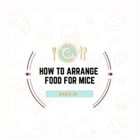𝙃𝙤𝙬 𝙩𝙤 𝙖𝙧𝙧𝙖𝙣𝙜𝙚 𝙛𝙤𝙤𝙙 𝙛𝙤𝙧 𝙈𝙄𝘾𝙀  🍽✨