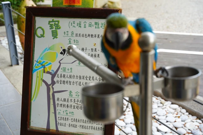 中部景點,自然風情景,自然風情景觀餐廳,自然風情景觀餐廳民宿,苗栗住宿推薦,苗栗民宿推薦,苗栗親子景點,親子景點