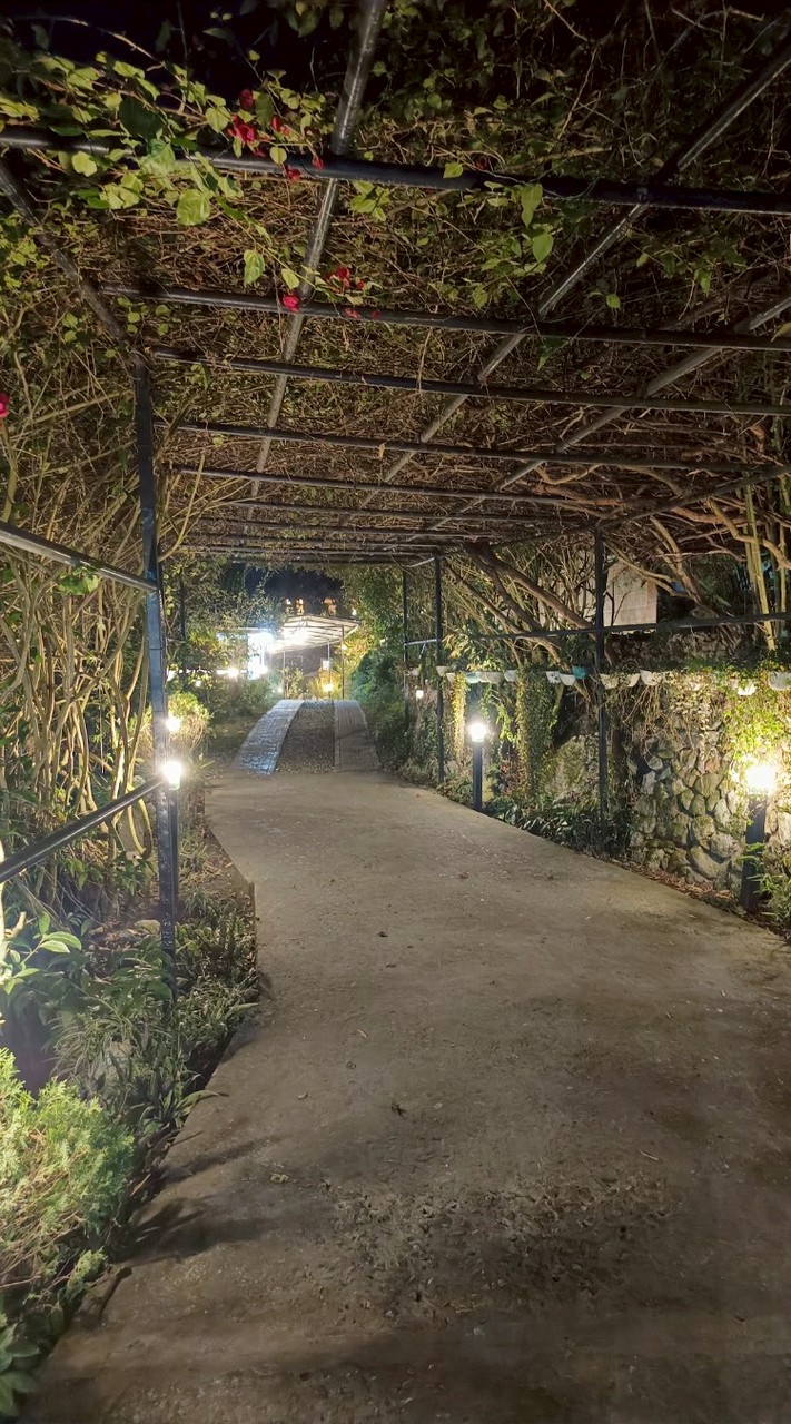 Taiwanese in JIC Premiue