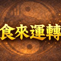 食來運轉餐車團隊