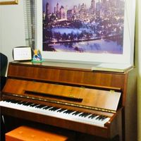 零基礎快樂初學區🎵鋼琴🎹小提琴🎻視訊教學🎵彈奏欣賞🎵興趣培養🎵樂譜分享🎵